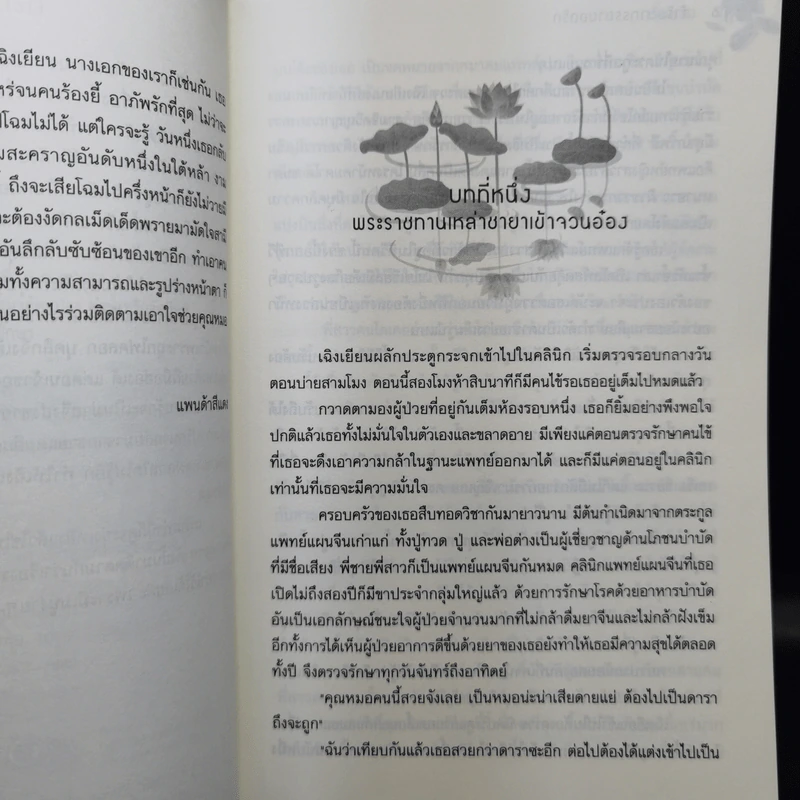 สำรับยาภรรยายอดรัก - เจี่ยนอิง รูปที่ 10
