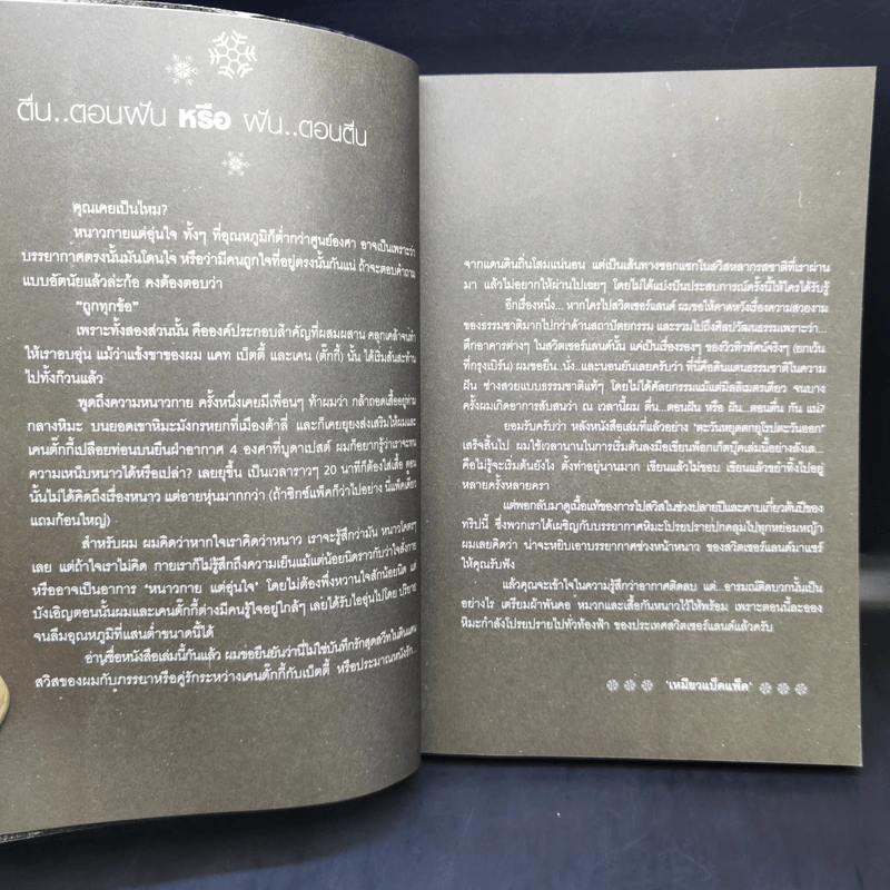หิมะโปรยโชยสวิส - เหมียวแบ็คแพ็ค รูปที่ 10