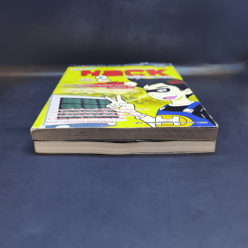 มือใหม่หัด Hack ให้รู้ทัน Hacker เล่ม 1-2 - วิษณุ เหล่าพิทักษ์ รูปที่ 4