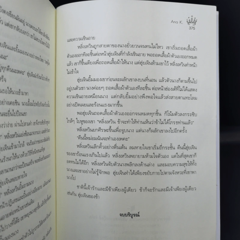 ซานหวางเฟย พระชายาตัวป่วน - Ana K. รูปที่ 10