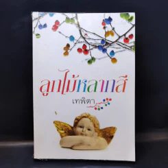 ลูกไม้หลากสี - เทพิตา รูปที่ 1