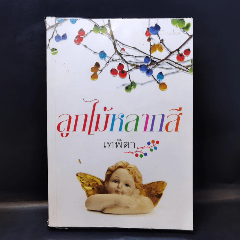 ลูกไม้หลากสี - เทพิตา รูปที่ 1