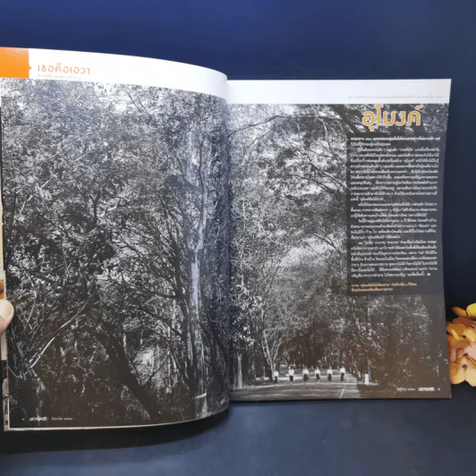 สารคดี ฉบับที่ 376 ปีที่ 32 มิถุนายน 2559 การ์ตูนไทย รูปที่ 8