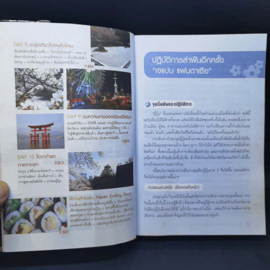 เที่ยวไม่ง้อทัวร์ตีตั๋วตะลุยญี่ปุ่น 2 รูปที่ 12