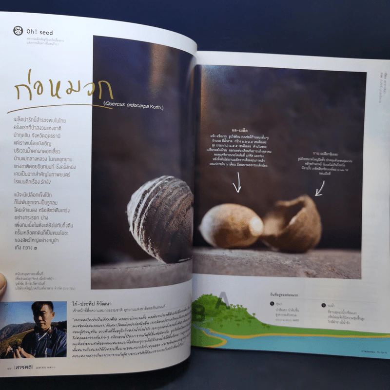 สารคดี ปีที่ 33 ฉบับที่ 386 เม.ย.2560 ตากสินมหาราชกับศึกฮาเตียน รูปที่ 11