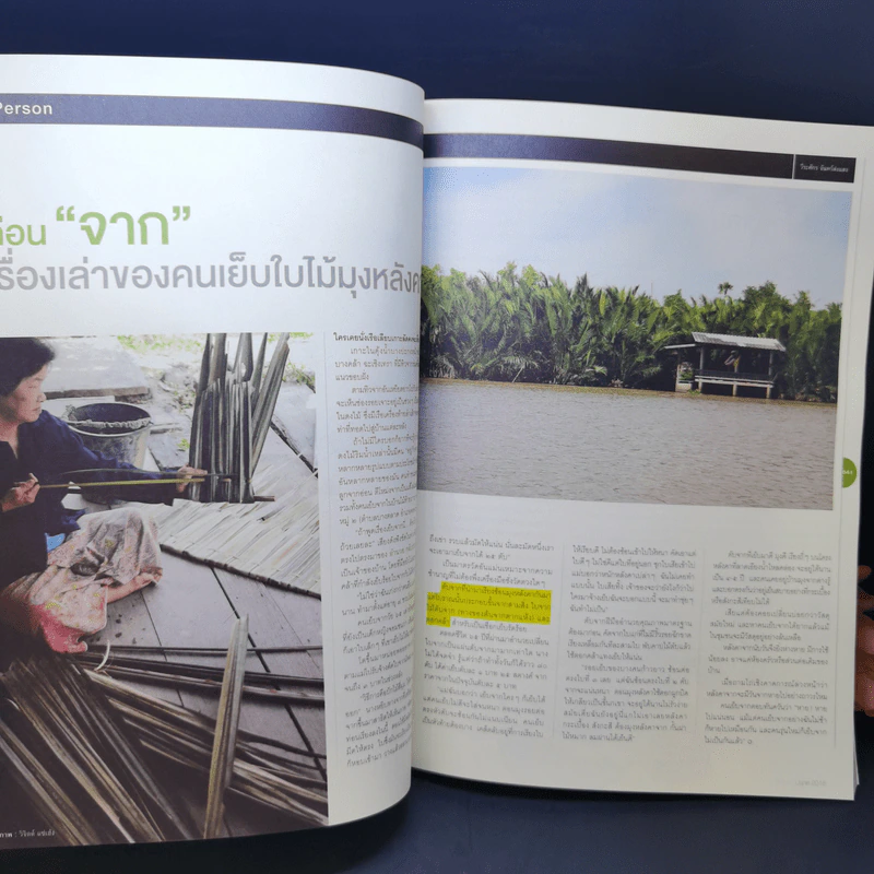 สารคดี ฉบับที่ 376 ปีที่ 32 มิถุนายน 2559 การ์ตูนไทย รูปที่ 12