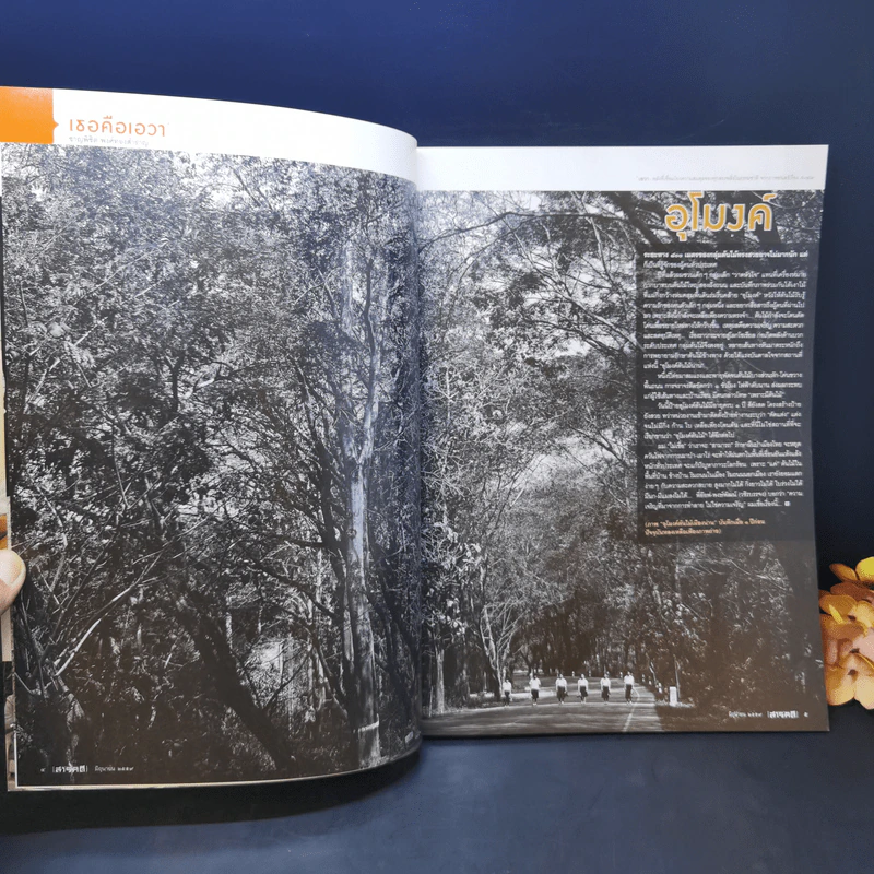 สารคดี ฉบับที่ 376 ปีที่ 32 มิถุนายน 2559 การ์ตูนไทย รูปที่ 8