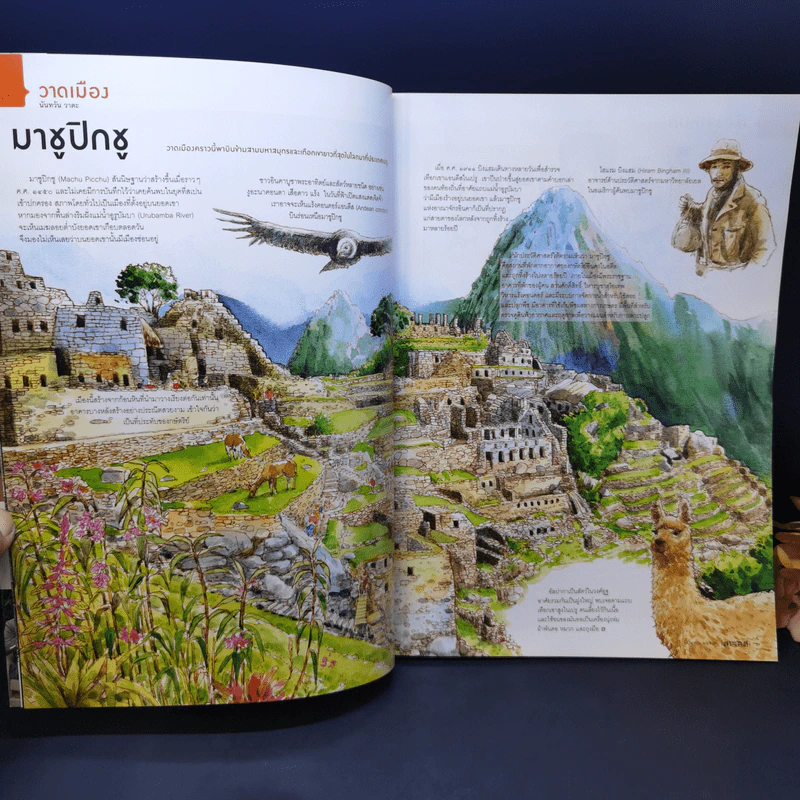 สารคดี ฉบับที่ 376 ปีที่ 32 มิถุนายน 2559 การ์ตูนไทย รูปที่ 9