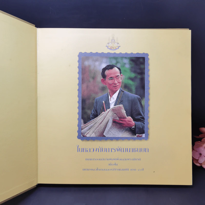 ในหลวงกับการพัฒนาชนบท รูปที่ 8
