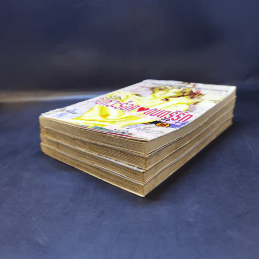 จังหวะร็อคดนตรีรัก เล่ม 13-16 - Mayu Shinjo รูปที่ 6