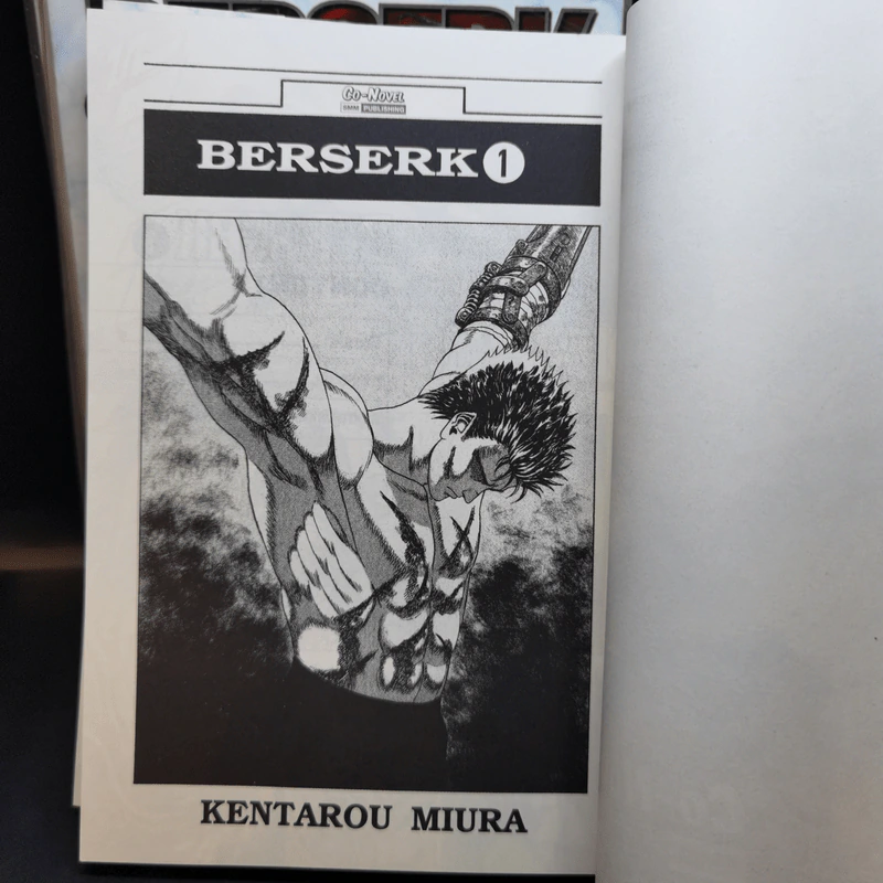 Berserk เล่ม 1,2,5,6,38 รูปที่ 9