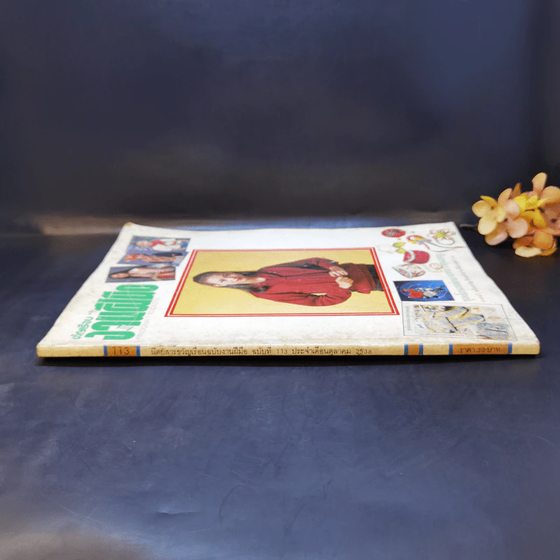 ขวัญเรือน ฉบับ งานฝีมือ ฉบับที่ 113 ต.ค.2536 รูปที่ 3