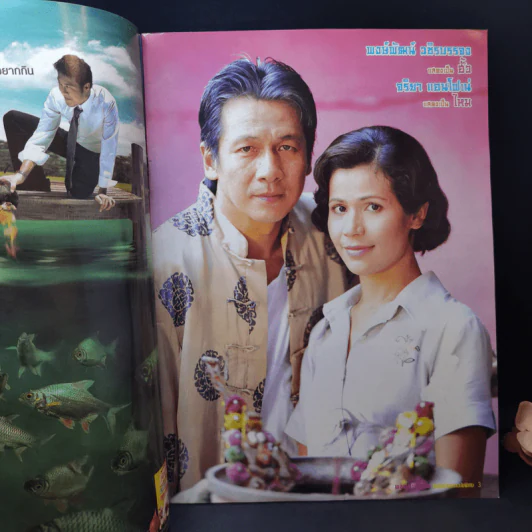 ดงดอกเหมย เรื่องย่อละคร ชีวิตดารา รูปที่ 7