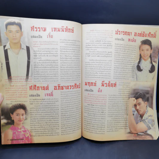 ซิงตึ๊ง เรื่องย่อละคร ชีวิตดารา รูปที่ 9