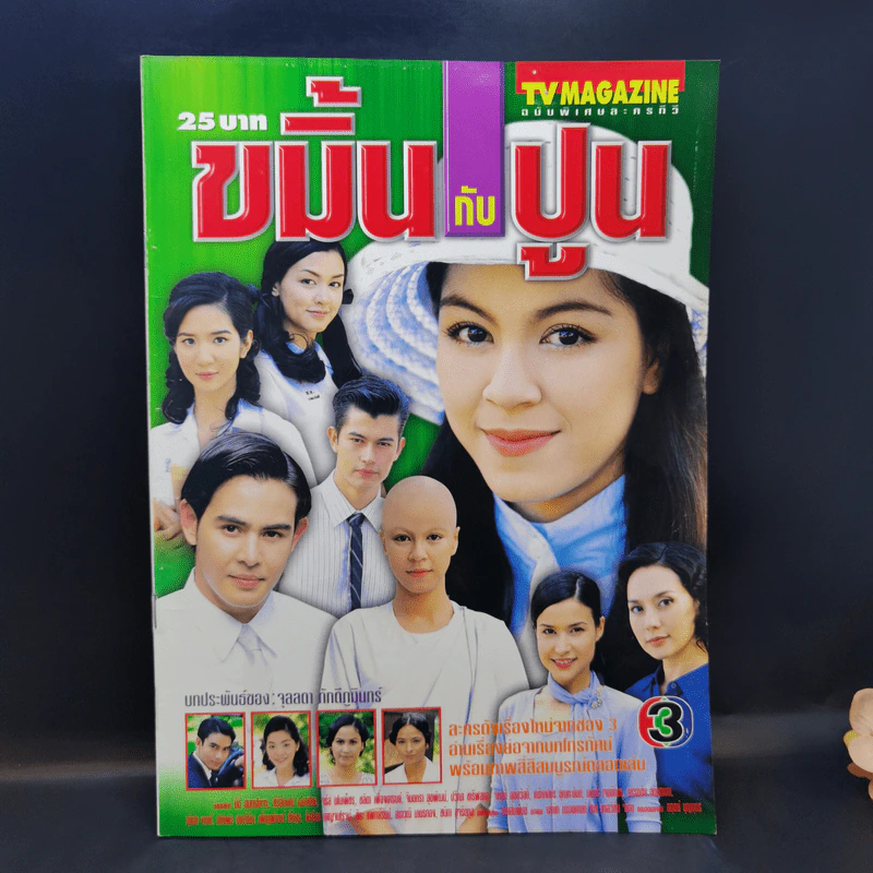 ขมิ้นกับปูน เรื่องย่อละคร ทีวีแม็กกาซีน รูปที่ 1