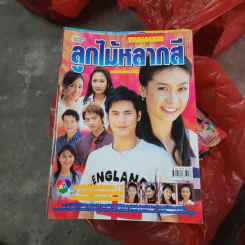 ลูกไม้หลากสี หนังสือละคร ทีวีแม็กกาซีน รูปที่ 1