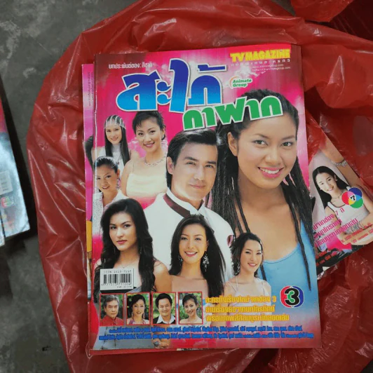 สะใภ้กาฝาก หนังสือละคร ทีวีแม็กกาซีน รูปที่ 1