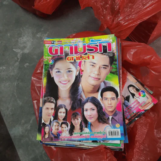 ตามรักตามล่า หนังสือละคร ชีวิตดารา รูปที่ 1