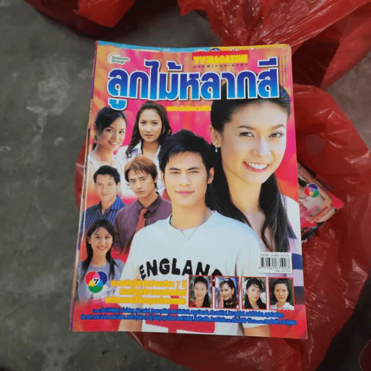 ลูกไม้หลากสี หนังสือละคร ทีวีแม็กกาซีน รูปที่ 1
