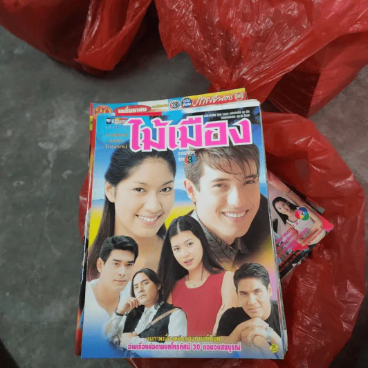 ไม้เมือง หนังสือละคร ชีวิตดารา รูปที่ 1