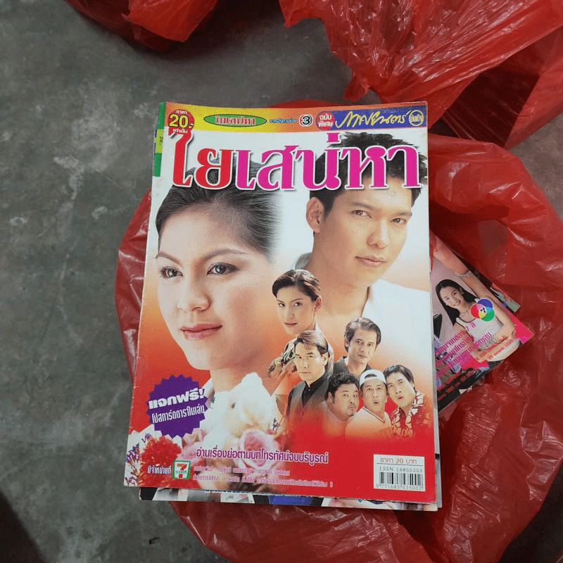 ใยเสน่หา หนังสือละคร ภาพยนตร์บันเทิง รูปที่ 1