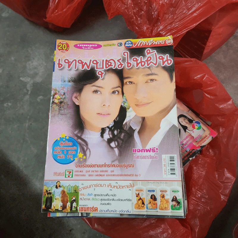 เทพบุตรในฝัน หนังสือละคร ภาพยนตร์บันเทิง รูปที่ 1