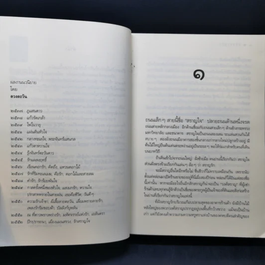 รักสราญใจ - ดวงตะวัน รูปที่ 9
