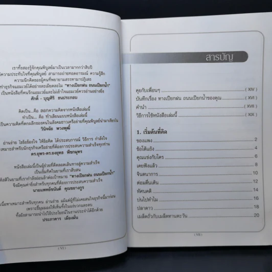 ทางเปียกฝน ถนนเปียกน้ำ เล่ม 1 - พิบูลย์ ดิษฐอุดม รูปที่ 11