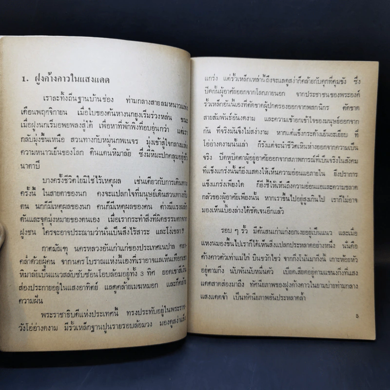 ในอ้อมกอดหิมาลัย -พจนา จันทรสันติ รูปที่ 11