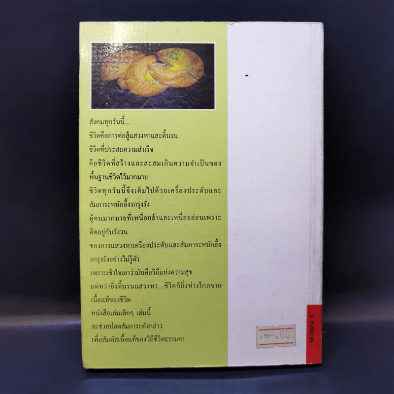 ธรรมะสำหรับคนนอกวัด - วิลาศ มณีวัต รูปที่ 2