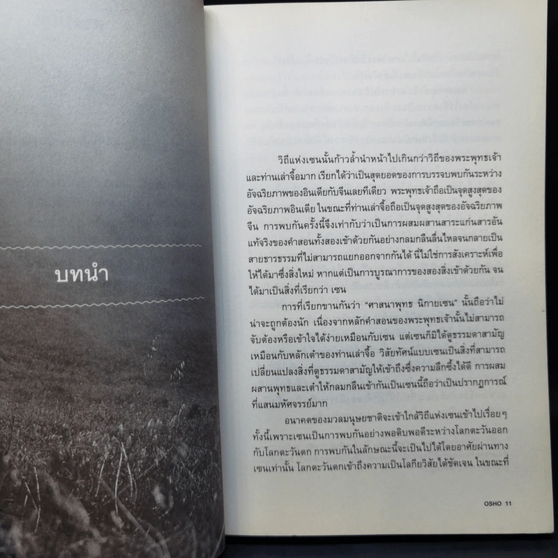 Zen เซน : หนทางอันย้อนแย้ง - Osho รูปที่ 10