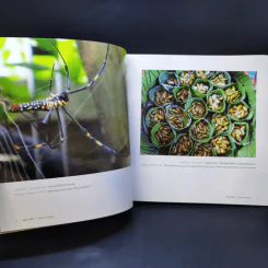 อยู่มานาน กาลเวลาพาสุข ภาพถ่ายฝีพระหัตถ์ในสมเด็จพระเทพฯ 2557-2558 รูปที่ 11