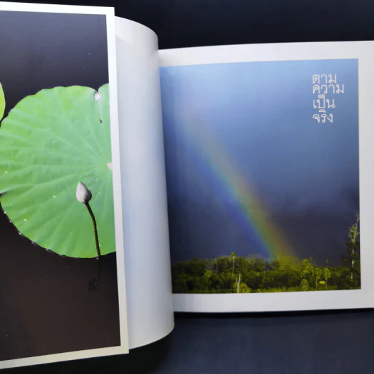 ตามความเป็นจริง - ชยสาโร ภิกขุ รูปที่ 8