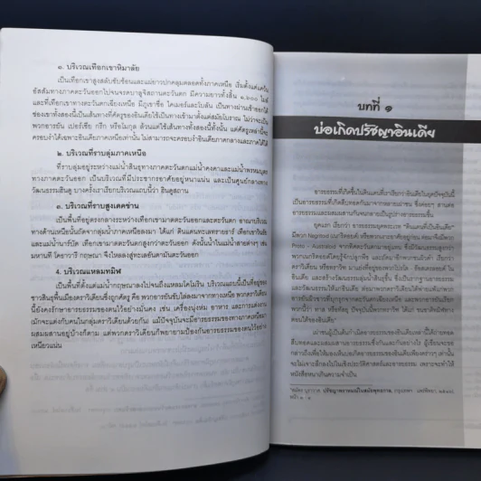 ปรัชญาอินเดีย - รองศาสตราจารย์ ดร.ประยงค์ แสนบุราณ รูปที่ 11
