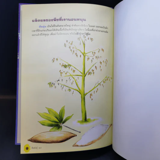 สารคดี ธรรมชาติพิสดาร พืชพันธุ์ - น.ท.เสริมสกุล โทณะวณิก รูปที่ 10
