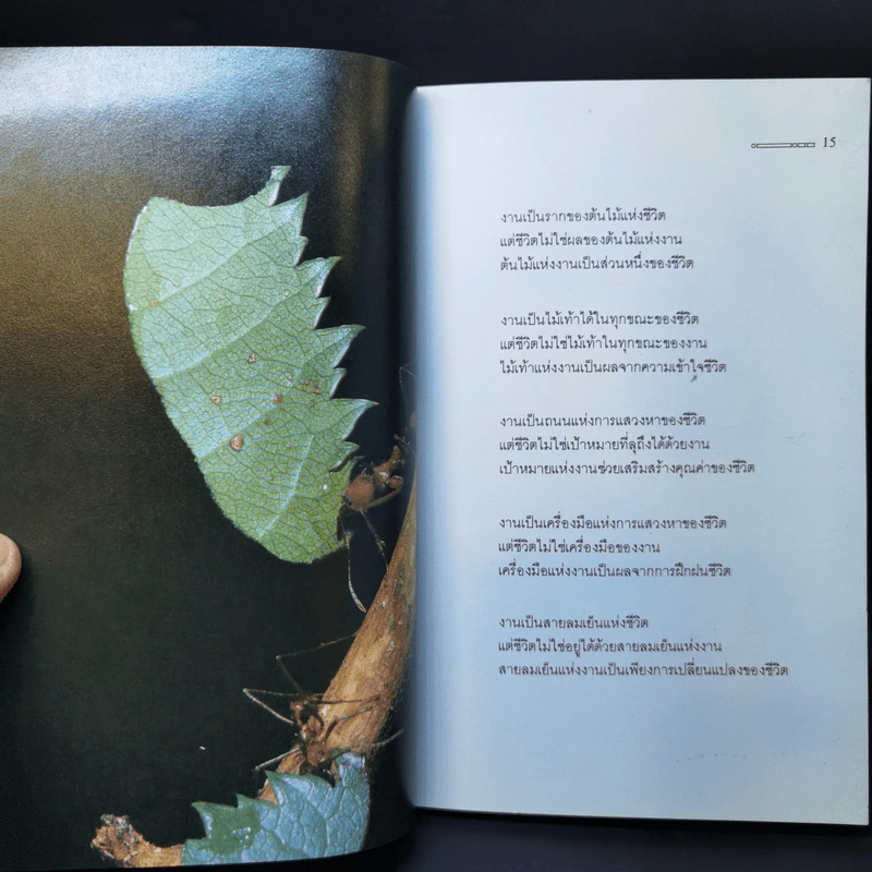 เพียงเพื่อกำลังใจ - วรกมล รูปที่ 10