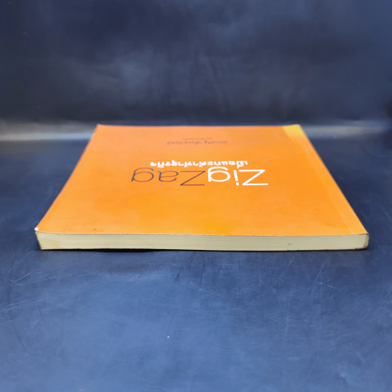 ZigZag เมื่อแกะดำทำธุรกิจ - ประเสริฐ เอี่ยมรุ่งโรจน์ รูปที่ 6