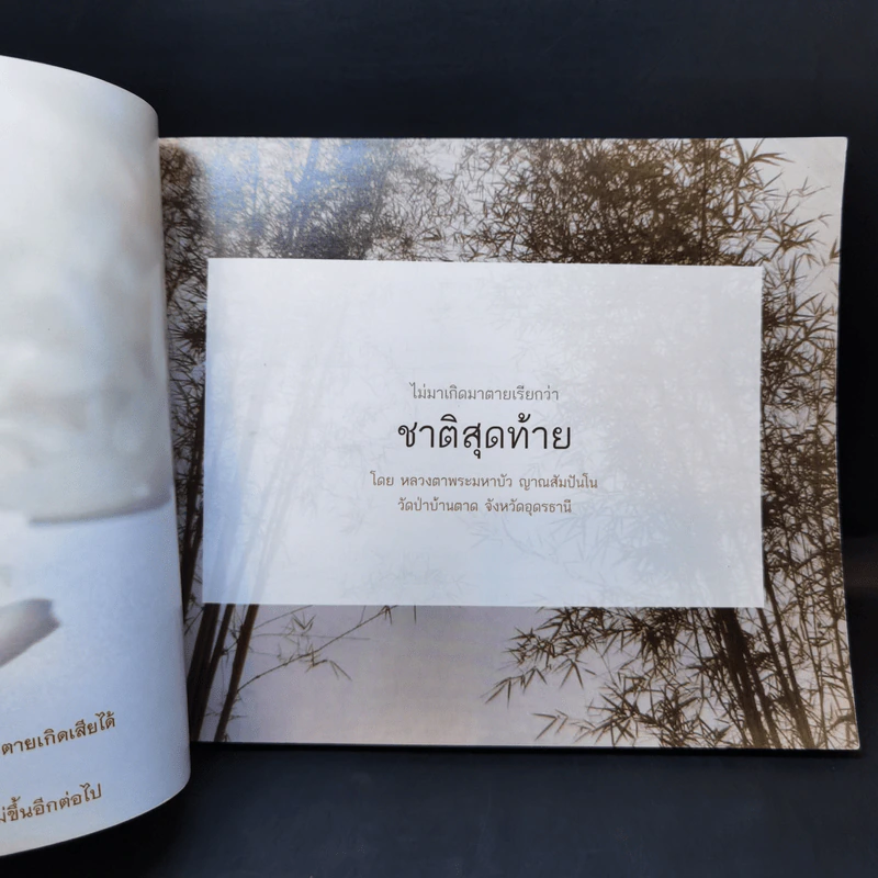 ไม่มาเกิดมาตายเรียกว่า ชาติสุดท้าย - หลวงตาพระมหาบัว รูปที่ 9
