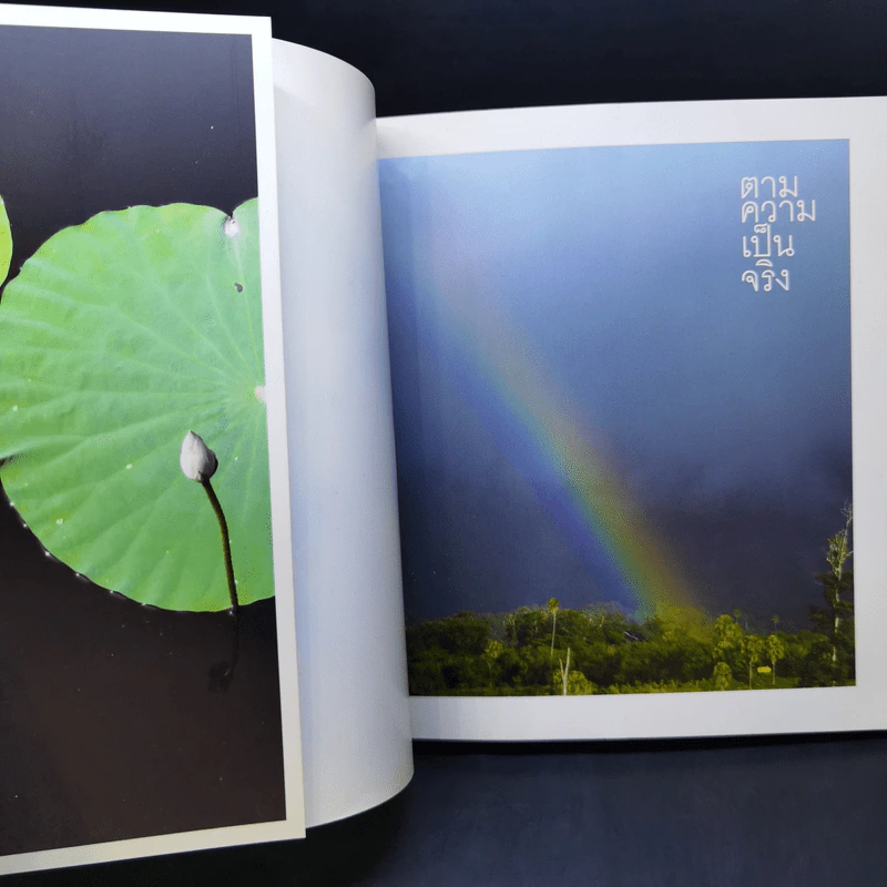 ตามความเป็นจริง - ชยสาโร ภิกขุ รูปที่ 8