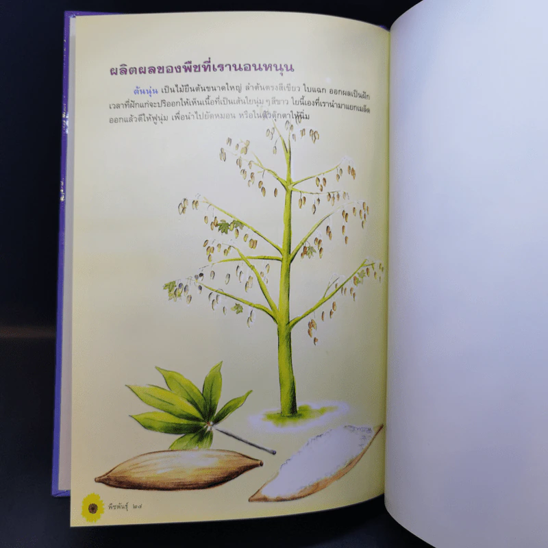 สารคดี ธรรมชาติพิสดาร พืชพันธุ์ - น.ท.เสริมสกุล โทณะวณิก รูปที่ 10