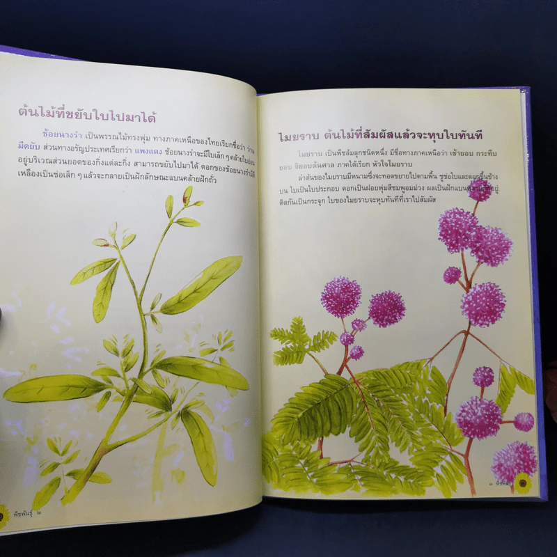 สารคดี ธรรมชาติพิสดาร พืชพันธุ์ - น.ท.เสริมสกุล โทณะวณิก รูปที่ 9
