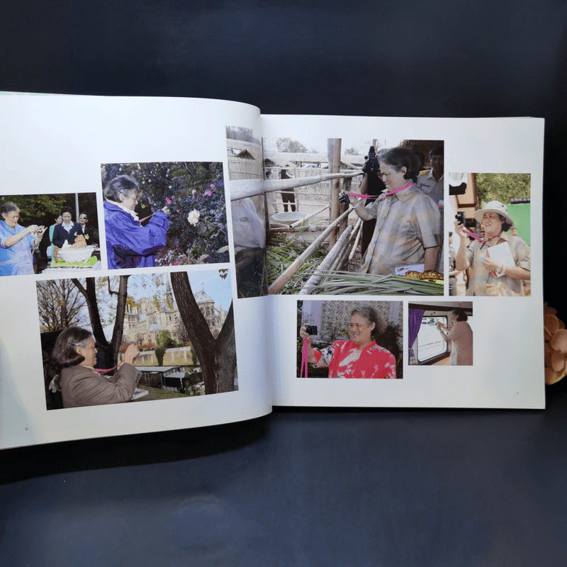อยู่มานาน กาลเวลาพาสุข ภาพถ่ายฝีพระหัตถ์ในสมเด็จพระเทพฯ 2557-2558 รูปที่ 10