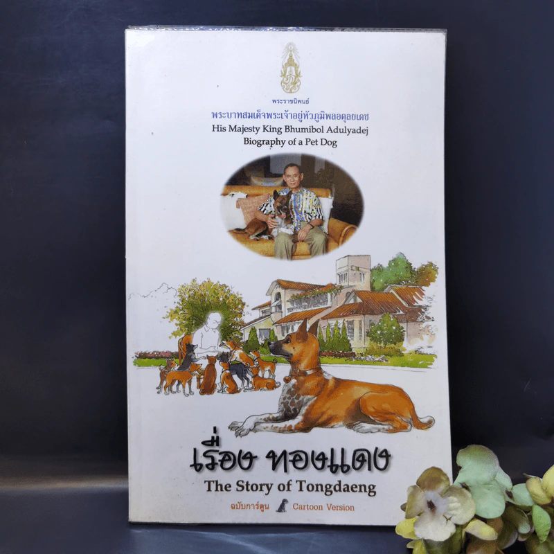 เรื่องทองแดง The Story of Tongdaeng ฉบับการ์ตูน ภาพสี รูปที่ 1