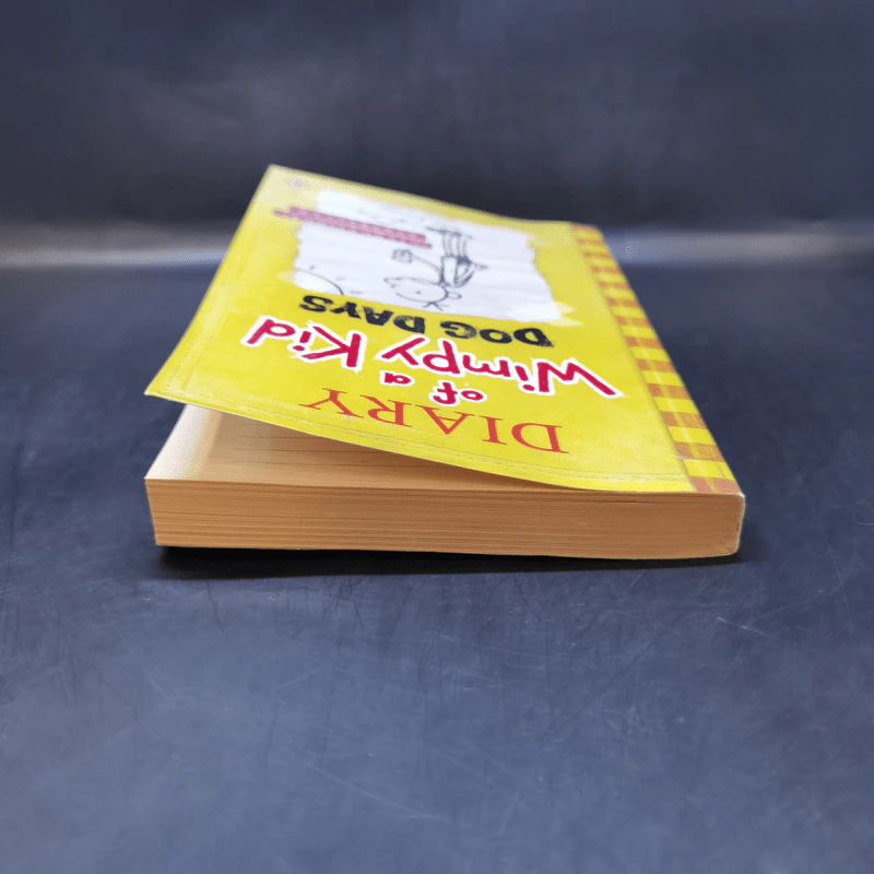 Diary of a Wimpy Kid Dog Days - Jeff Kinney รูปที่ 6
