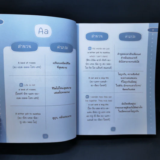 Idiom & Slang สำนวนควรใช้ สแลงทันสมัยควรรู้ - Nattawan Tutor รูปที่ 11