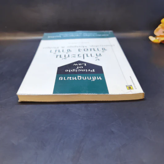 หลักกฎหมาย Principle of Law ค้ำประกัน จำนอง จำนำ - รองศาสตราจารย์สุดา (วัชรวัฒนากุล) วิศรุตพิชญ์ รูปที่ 6