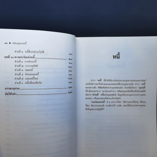 หลักกฎหมาย Principle of Law หนี้ - ภัทรศักดิ์ วรรณแสง รูปที่ 10