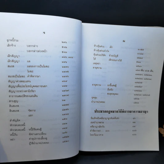 สารบาญ คำพิพากษาฎีกา ประจำปีพุทธศักราช 2548 รูปที่ 13