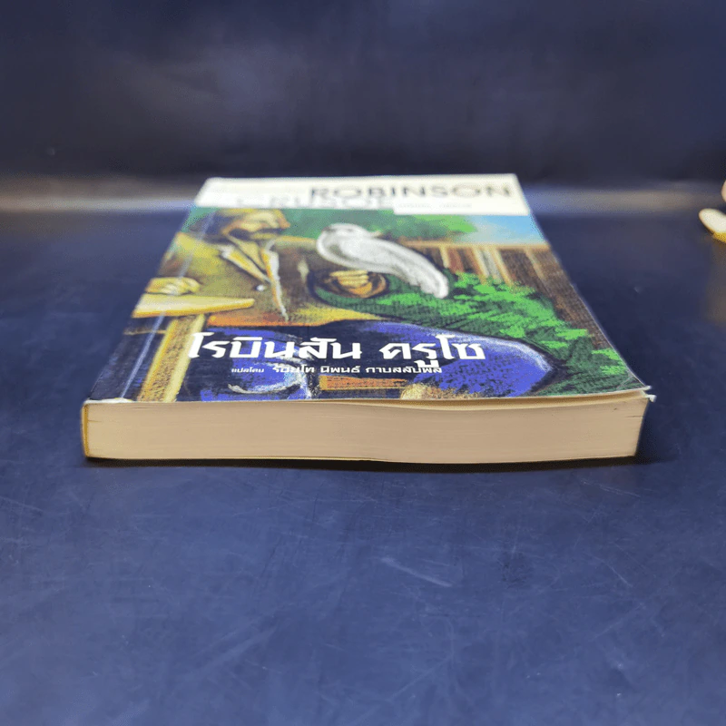 เรียนอังกฤษจากเรื่อง Robinson Crusoe โรบินสัน ครูโซ รูปที่ 4