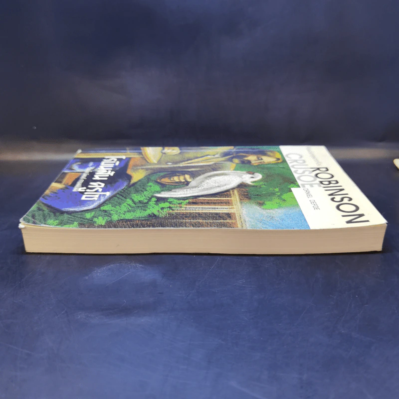 เรียนอังกฤษจากเรื่อง Robinson Crusoe โรบินสัน ครูโซ รูปที่ 5